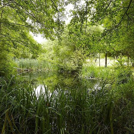 Вілла Un Petit Coin De Campagne Dans Le Pays De Saint-Gilles Екстер'єр фото